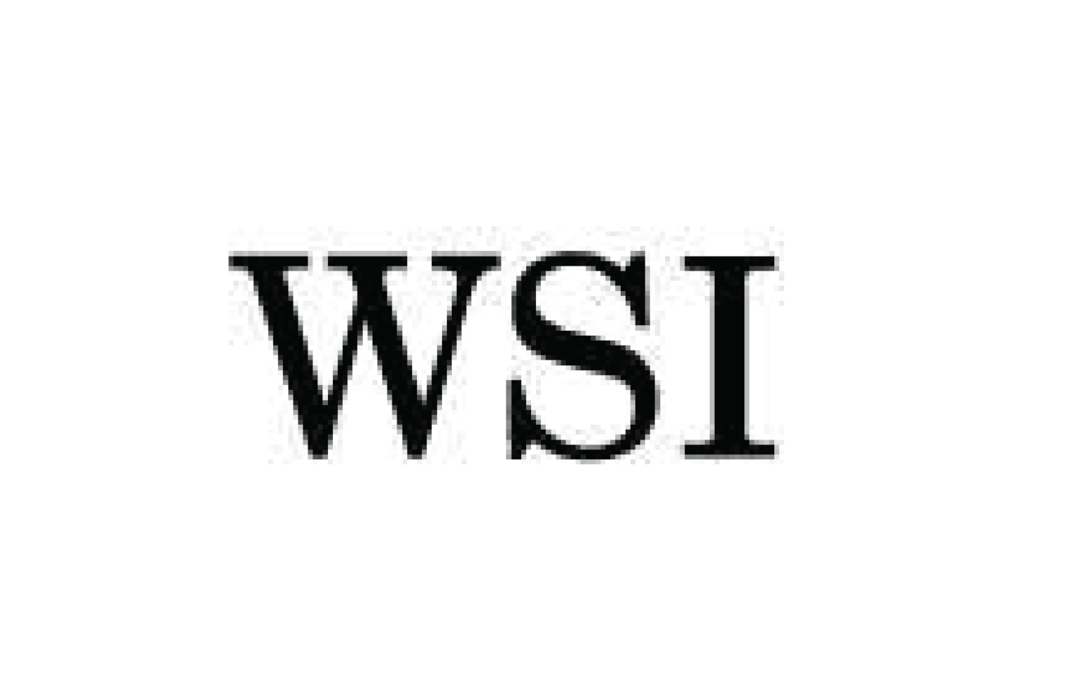 WSI Logo WSI Logo